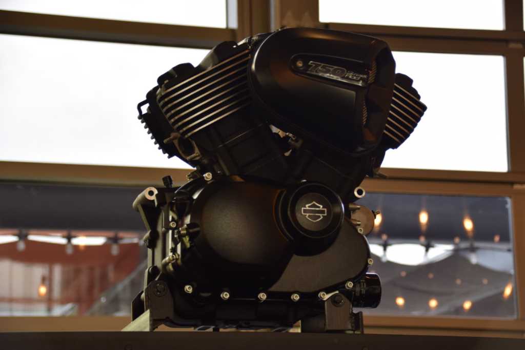 DSC_0033Mittel_.JPG